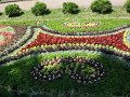 ciechicinek 31.05.11 078
